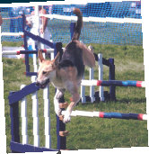 rdtc004002.jpg