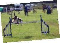 rdtc007004.jpg