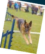 rdtc008001.jpg