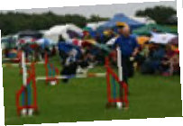 rdtc009002.jpg