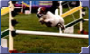rdtcnew1005001.jpg