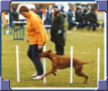 rdtcnew1005002.jpg