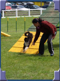 rdtcnew1007002.jpg