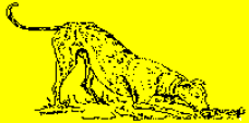 rdtcnew1014009.gif