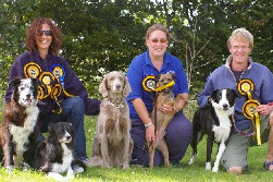 roseland_dog_training_club001003.jpg