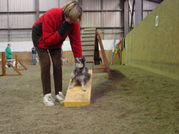 roseland_dog_training_club003003.jpg