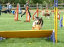 roseland_dog_training_club007003.jpg