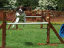 roseland_dog_training_club007005.jpg