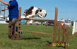 roseland_dog_training_club007006.jpg