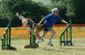 roseland_dog_training_club007007.jpg