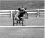 roseland_dog_training_club007008.jpg