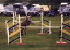 roseland_dog_training_club007013.jpg
