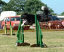 roseland_dog_training_club007015.jpg