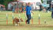 roseland_dog_training_club007018.jpg