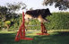 roseland_dog_training_club007019.jpg