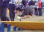 roseland_dog_training_club007023.jpg