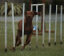 roseland_dog_training_club007031.jpg