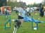roseland_dog_training_club007036.jpg