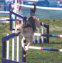 roseland_dog_training_club007045.jpg