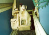 roseland_dog_training_club008001.jpg