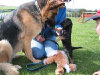 roseland_dog_training_club008009.jpg