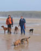 roseland_dog_training_club009006.jpg