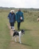 roseland_dog_training_club009013.jpg