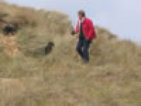 roseland_dog_training_club009014.jpg