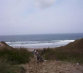 roseland_dog_training_club010003.jpg