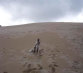 roseland_dog_training_club010004.jpg