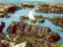 roseland_dog_training_club010016.jpg