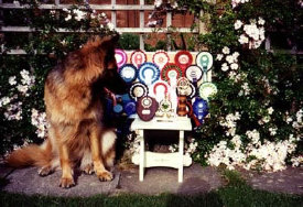 roseland_dog_training_club013004.jpg