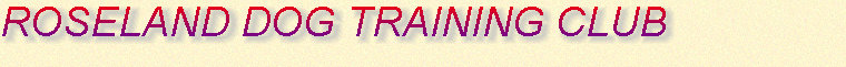 roseland_dog_training_club015002.jpg
