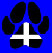 roseland_dog_training_club015003.jpg