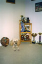roseland_dog_training_club018004.jpg