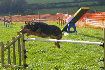 roseland_dog_training_club019001.jpg