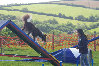 roseland_dog_training_club019003.jpg