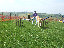 roseland_dog_training_club019008.jpg