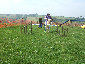 roseland_dog_training_club019009.jpg