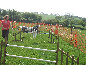 roseland_dog_training_club019010.jpg