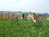 roseland_dog_training_club019013.jpg