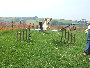 roseland_dog_training_club019014.jpg