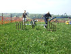 roseland_dog_training_club019016.jpg