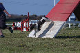roseland_dog_training_club019020.jpg