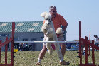 roseland_dog_training_club019021.jpg