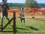 roseland_dog_training_club019023.jpg