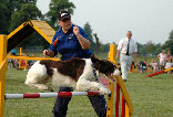 roseland_dog_training_club019031.jpg