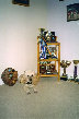 roseland_dog_training_club019032.jpg